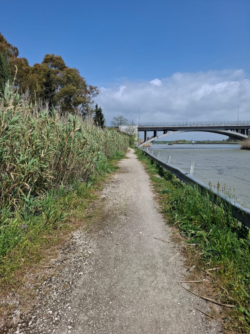 river shore today