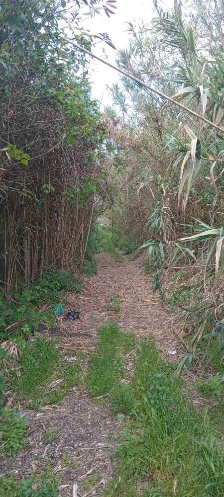 passage before