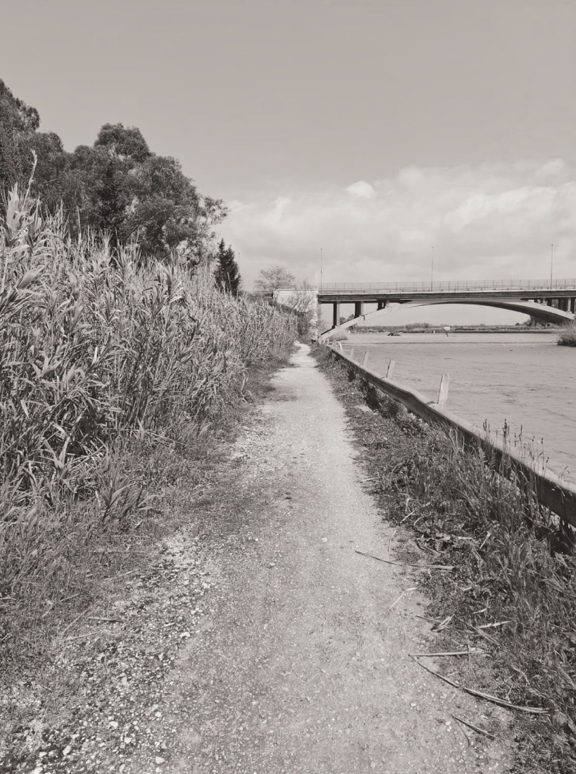 riverside path before