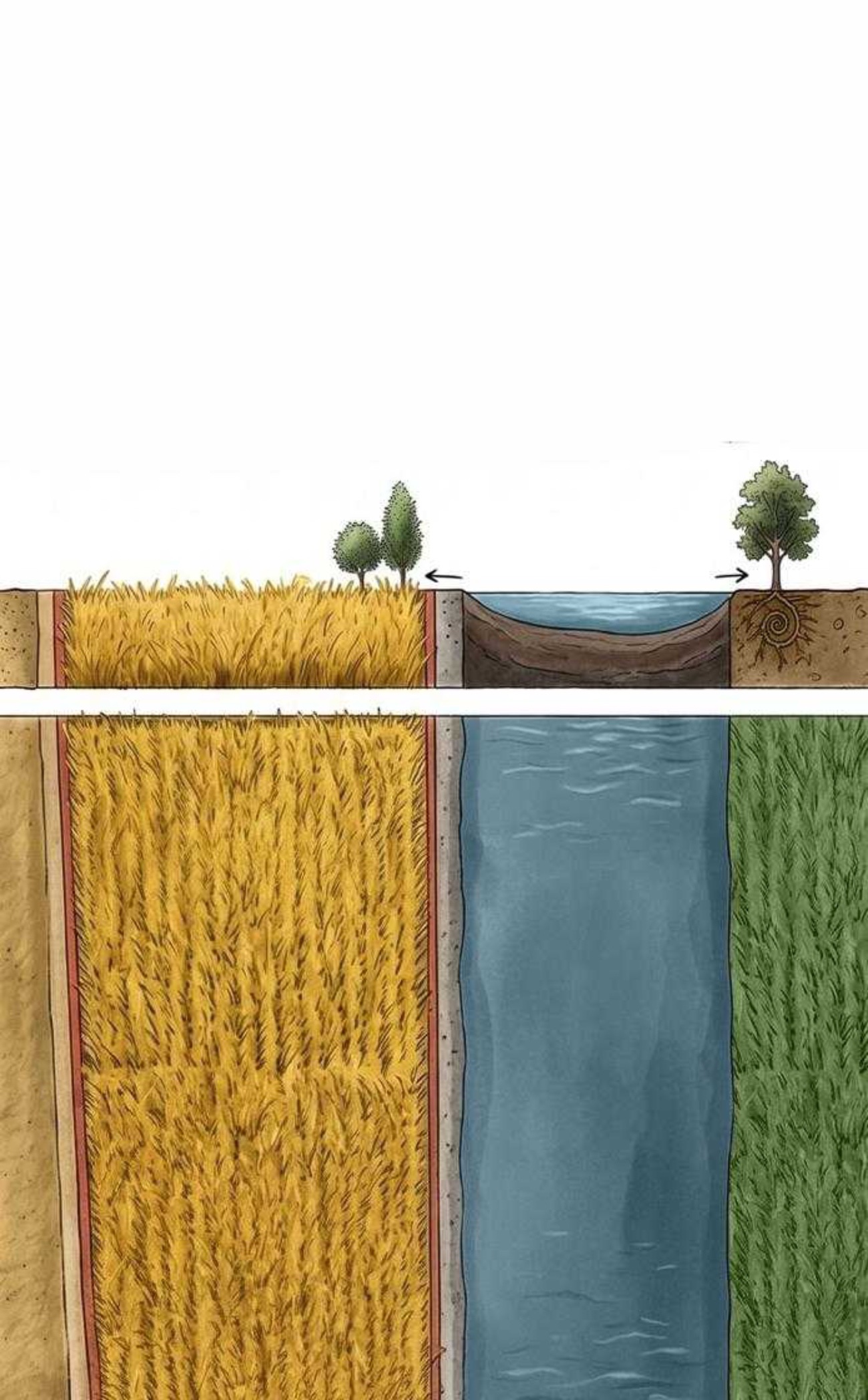 agricultural section