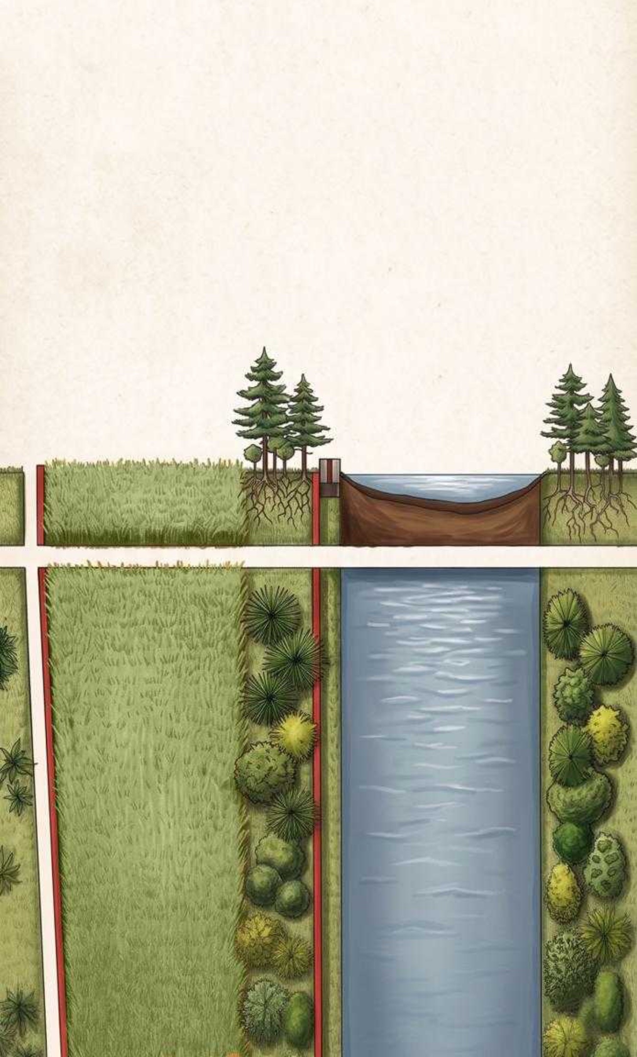 wetland section